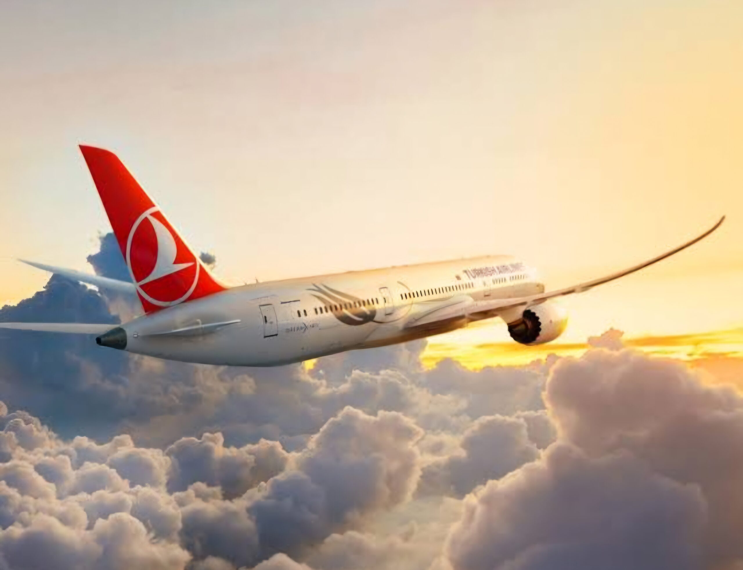 Turkish Airlines Pilot Dies Mid-Flight, Forces Emergency Landing in New York